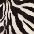 Uml koeina safari zebra  -   pplatek 30%