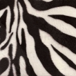 Um�l� ko�e�ina safari zebra  -   p��platek 30%